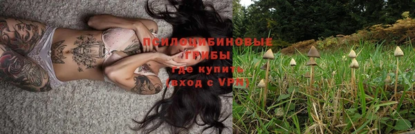 дурь Карталы
